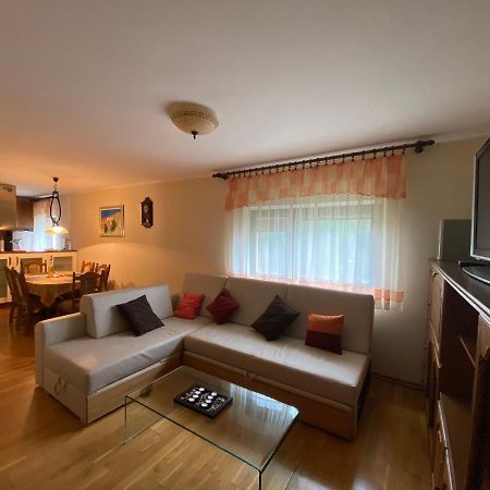 Apartment Tody'S Fužine المظهر الخارجي الصورة