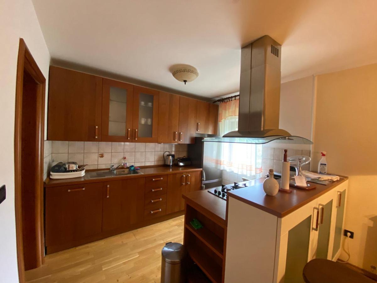 Apartment Tody'S Fužine المظهر الخارجي الصورة